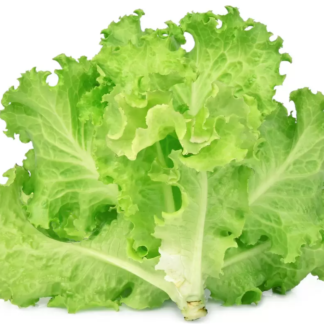 Maço de alface (unidade)