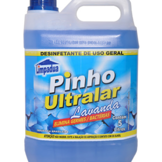 Desinfetante 5L (unidade)